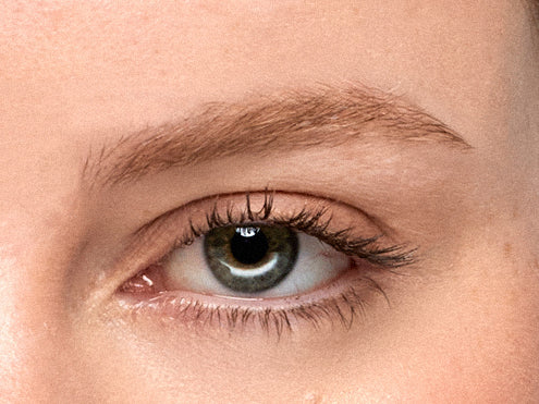 Préparez les sourcils